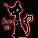 ���� ����, ������ ��������, 41 ��� - ��������� 12 ������� 2009 � ������ ������ ����