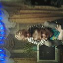 ���� ����, �������, 43 ���� - ��������� 29 ������ 2013 � ������ ���� ����������