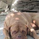 ���� ���, ����� - ��������� 27 ������� 2012 � ������ ���� ����������