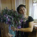 ���� ������� �������, ���������, 51 ��� - ��������� 9 ������ 2013 � ������ ���� ����������