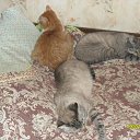 ���� Alex, ������, 50 ��� - ��������� 13 ���� 2012 � ������ ���� ����������