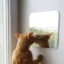 ���� ����, �����, 50 ��� - ��������� 10 ���� 2010 � ������ ������������