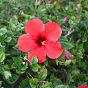 ���� ������, �������, 56 ��� - ��������� 10 �������� 2011 � ������ �������