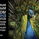 ���� C�����, ����, 67 ��� - ��������� 18 ���� 2013 � ������ ���� ����������