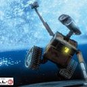 ���� ����(), ������, 28 ��� - ��������� 13 ���� 2010 � ������ ���� ����������