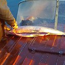 ������, �� �������!