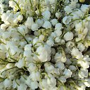 ���� ������, �����������, 45 ��� - ��������� 13 ���� 2013 � ������ ��������