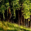 ���� Anna, ������, 62 ���� - ��������� 14 ��� 2012 � ������ ���� ��� ������