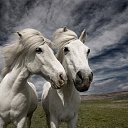 ���� �������, ��, �������� - ��������� 15 ������� 2012 � ������ �������...�