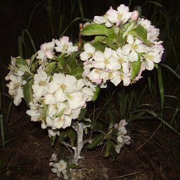 ���� ����������, �����-���������, 58 ��� - ��������� 6 ���� 2011