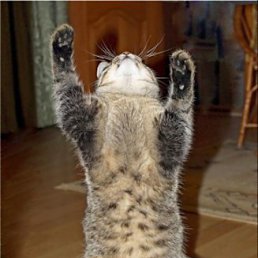 ������ ������, ��������, 58 ���