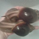 ���� ������, ���������, 48 ��� - ��������� 29 ������� 2012 � ������ ���� �����