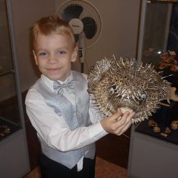 ���� ������, ��������, 22 ���� - ��������� 11 ������� 2010