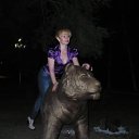 ���� ������, ��������� - ��������� 17 �������� 2012 � ������ ���� ����������