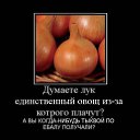 ���� ������, ������, 48 ��� - ��������� 14 ������ 2010 � ������ �������� ��������