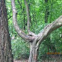 ���� ������, �����������, 42 ���� - ��������� 20 ������� 2011 � ������ ��������