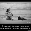 ���� ������, ���������, 56 ��� - ��������� 4 ��� 2011 � ������ ���� ����