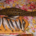 ���� Viktor, �������� ����, 73 ���� - ��������� 17 ������� 2013 � ������ ���� ����������