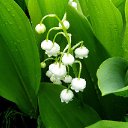 ���� ���������, ������������, 74 ���� - ��������� 19 ��� 2012 � ������ �������