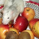 ������ ������� ������� ���������...����� ����������... �� ������� �������