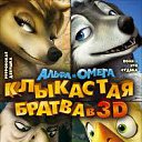 ���� �������, ������, 23 ���� - ��������� 9 ������� 2013