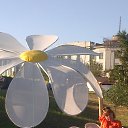 ���� �������, ����, 60 ��� - ��������� 7 ������� 2012 � ������ ���� ����������