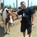 ���� ���, �������, 41 ��� - ��������� 9 ���� 2012 � ������ ���� ����������