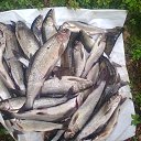 ���� ������, �����������, 57 ��� - ��������� 28 ���� 2013 � ������ ���� ����������