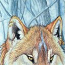 ���� ˸��, �������, 34 ���� - ��������� 21 ������� 2011 � ������ �goldenwolf�