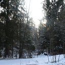 ���� ������, �����-���������, 66 ��� - ��������� 1 ������ 2012 � ������ ����� 2012 ����.�