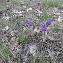 ���� �����, ��������� - ��������� 23 ������ 2013 � ������ ���� ����������