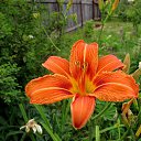 ���� ���������, ������, 61 ��� - ��������� 1 ��� 2011 � ������ ��������...�