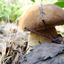 ���� �������, ������� - ��������� 10 ������ 2010 � ������ ����...������