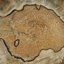 ���� ���������, ���������� - ��������� 23 ������� 2010 � ������ �������������Ż