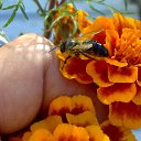 ���� Velvad, ���� - ��������� 25 ������ 2012 � ������ ���� ����������