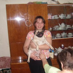 �������, ���������, 53 ����