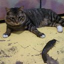 ���� Larisa, �������, 61 ��� - ��������� 8 ���� 2013 � ������ ����� ��� ������������