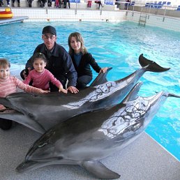 ���� �����, ����������, 53 ���� - ��������� 5 ������� 2012