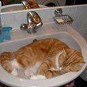 ���� ���, �������, 35 ��� - ��������� 4 ������� 2009