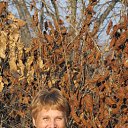 ���� �����, ���������, 59 ��� - ��������� 21 ������ 2012 � ������ ���� �!�