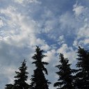 ���� ��������, ������ - ��������� 5 ���� 2013 � ������ ���� ����������