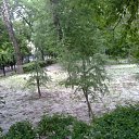 ���� �������, ������, 71 ��� - ��������� 26 ������� 2011 � ������ �����������.������