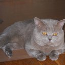 ���� ����, ������ - ��������� 22 ����� 2011