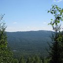 ���� ������� Cat's., �����, 43 ���� - ��������� 4 ������ 2009 � ������ ��� ������������� �������� ������� ������ ����� - �������