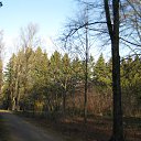 ���� �����, ������, 73 ���� - ��������� 5 ������ 2011 � ������ ������������ ����������