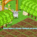 ���� �������, ������, 44 ���� - ��������� 24 �������� 2011 � ������ ������� �������