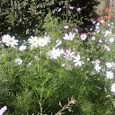 ���� ���� ��, �������, 49 ��� - ��������� 15 ������ 2011 � ������ ���� ���.�