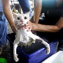 ����� ������� �� ���������! �� ������� ���� ������� �����