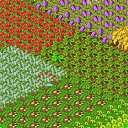 ���� ���, ������ - ��������� 22 ������ 2011 � ������ ������� �������