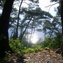 ���� ������, ���, 64 ���� - ��������� 7 ����� 2011 � ������ �������